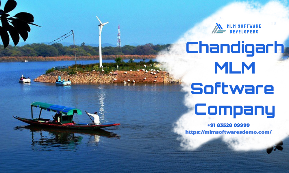 MLM Software Development Company Chandigarh